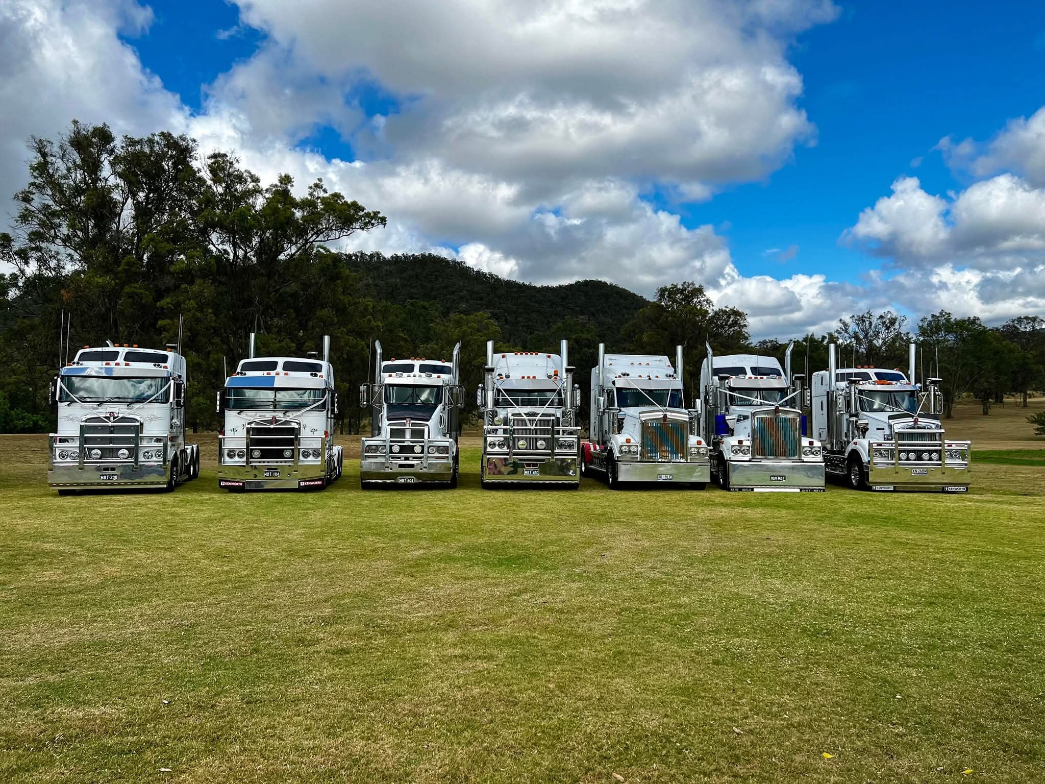 Matt Biddle Transport fleet — seven Kenworth prime movers lined up on a grass field